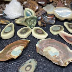 Meet your Posher, Colorvein